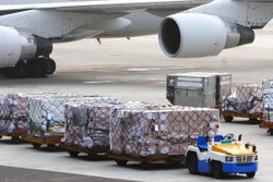 Air Cargo Service, Is It Mobile Access: Mobile Access