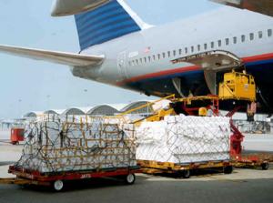 China Air Freight from Xiamen to New Delhi on sale 